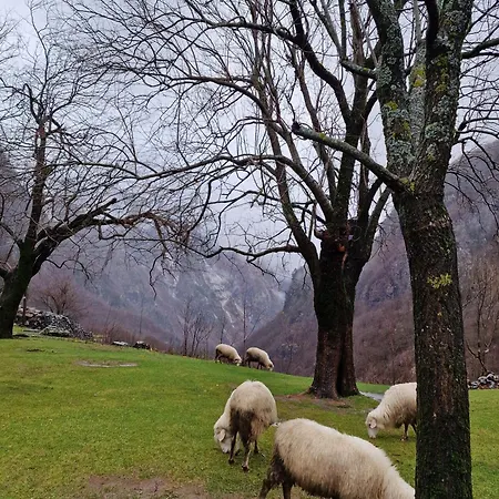 Thethi Sky Dağ evi